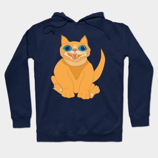 Red cat with blue eyes Hoodie